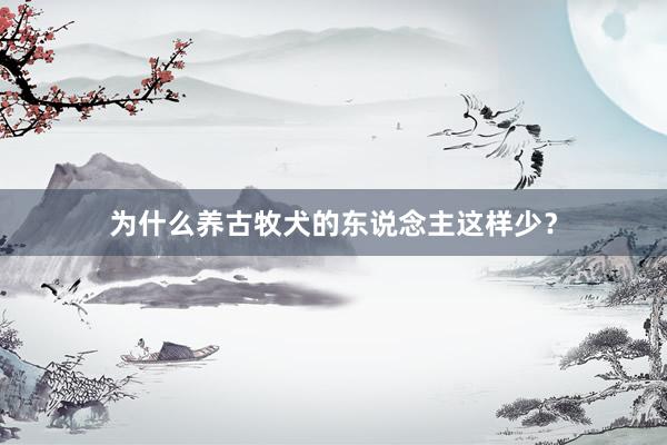 为什么养古牧犬的东说念主这样少?