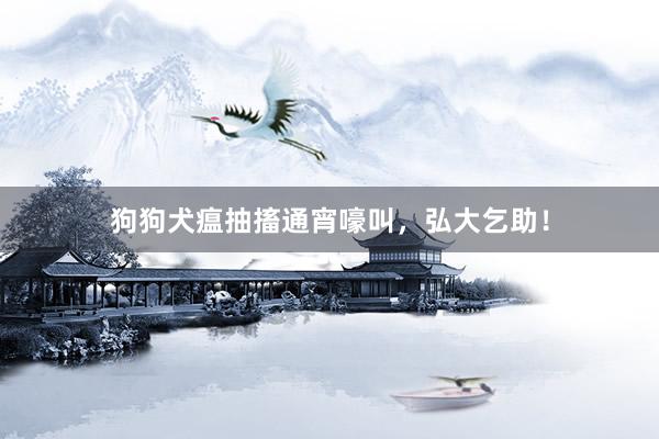 狗狗犬瘟抽搐通宵嚎叫,弘大乞助!